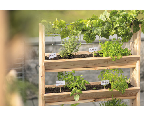 Dřevěný vyvýšený záhon s bylinkami jako bazalka, petržel a rozmarýn