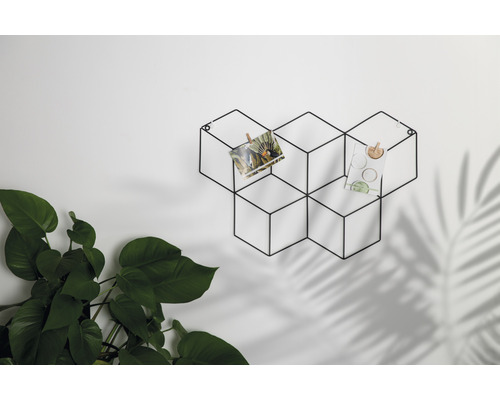 Dekorativní nástěnný držák z kovu s fotografiemi a rostlinou