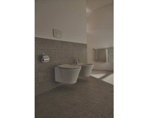 Koupelna s nástěnným splachovacím záchodem a bidetem