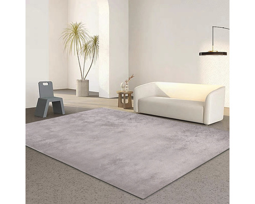 Světlá místnost s kobercem, pohovkou, židlí a pokojovou rostlinou