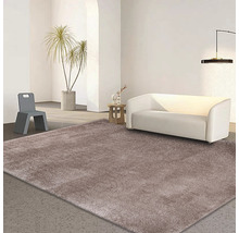 Obývací pokoj s kobercem, pohovkou, stolem, židlí a pokojovou rostlinou