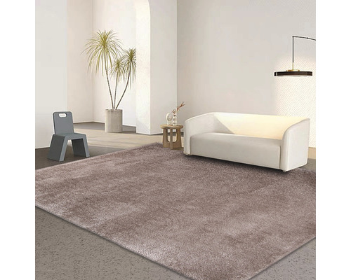 Obývací pokoj s kobercem, pohovkou, stolem, židlí a pokojovou rostlinou