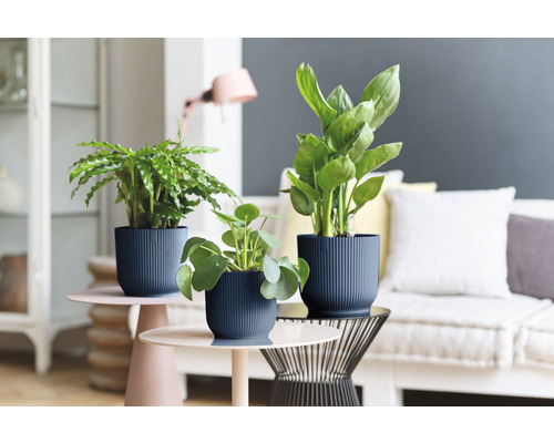 Tři pokojové rostliny ve strukturovaných květináčích na odkládacích stolcích v obývacím pokoji.