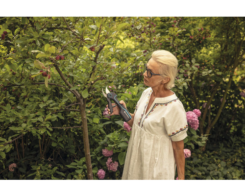 Žena stříhá strom akumulátorovými zahradními nůžkami na zahradě