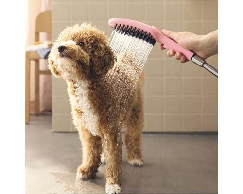 Pes se koupe s kartáčovou sprchou