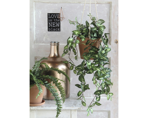 Dekorativní scéna se závěsnou rostlinou, kapradinou v květináči a zlatou lahví na polici.