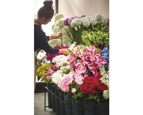 Žena aranžuje různé druhy květin v květináči v květinářství.