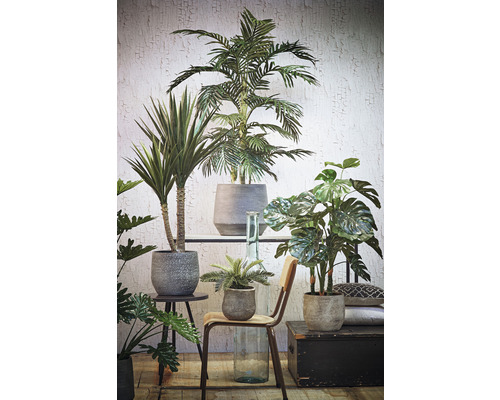 Aranžmá různých pokojových rostlin v květináčích