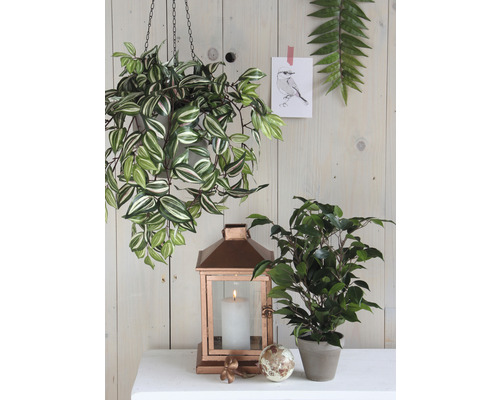 Dekorativní scéna se závěsnou rostlinou, lucernou a pokojovou rostlinou na stole.