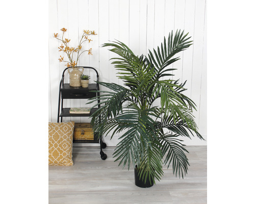 Okrasná pokojová rostlina v květináči vedle regálu s dekoracemi