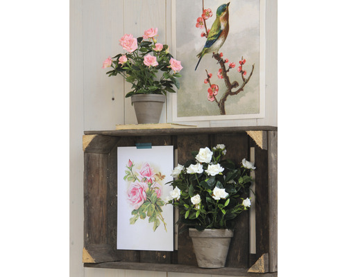 Dekorativní scéna s dřevěnou policí, umělými květinami a zarámovanými obrázky