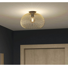 Stropní svítidlo s kovovým stínidlem v drátěném vzhledu a žárovkou