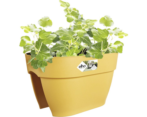 Žlutý balkonový truhlík s břečťanem