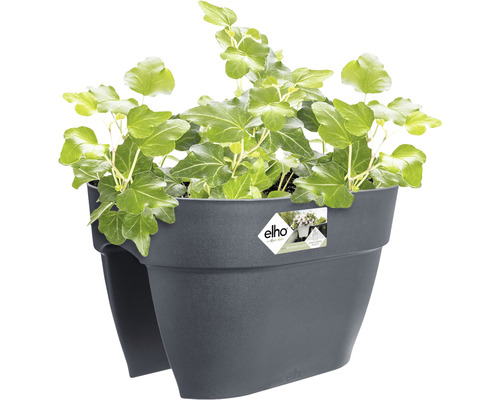 Tmavě šedý truhlík Elho s břečťanem