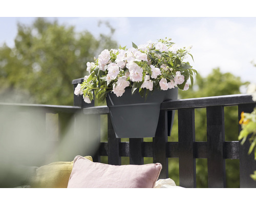 Květináč na zábradlí balkonu s plnou výsadbou