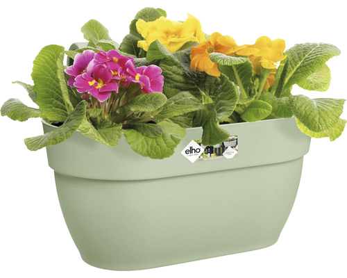 Závěsný květináč s barevnými petrklíči