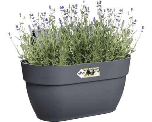 Šedý květináč s levandulí