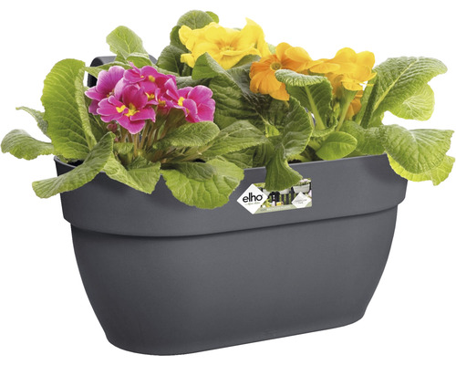 Šedý truhlík na zábradlí s petrklíči