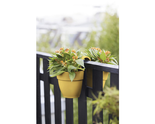 Dva závěsné květináče s rostlinami na zábradlí