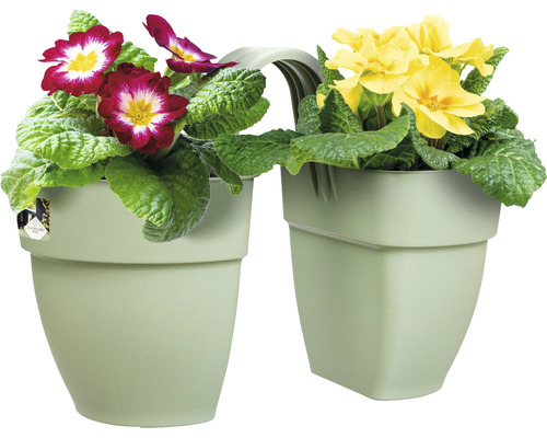 Dvojitý květináč s červenými a žlutými květy prvosenky