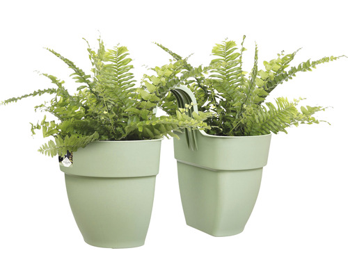 Dvě závěsné květinové truhlíky s kapradinami v plastových květináčích