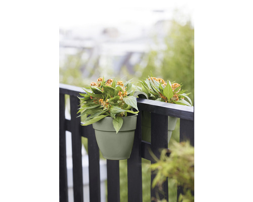 Dva závěsné květináče s rostlinami na zábradlí