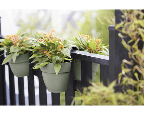 Tři zelené květináče s rostlinami zavěšené na tmavém plotě.