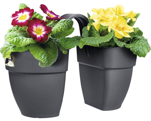 Dvojitý balkonový truhlík s červenými a žlutými prvosenkami