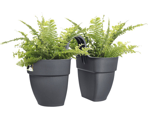 Dva šedé závěsné květináče osázené kapradinou