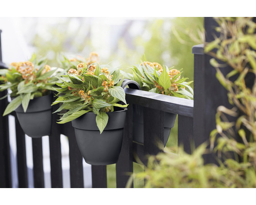 Květiny v truhlících visí na balkonovém zábradlí.