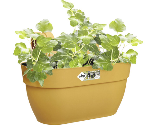 Žlutý květináč s břečťanem