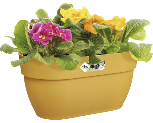 Žlutý truhlík s barevnými prvosenkami