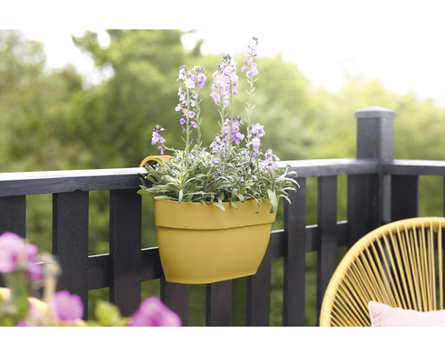 Žlutý balkonový truhlík s fialovými květinami na balkonovém zábradlí