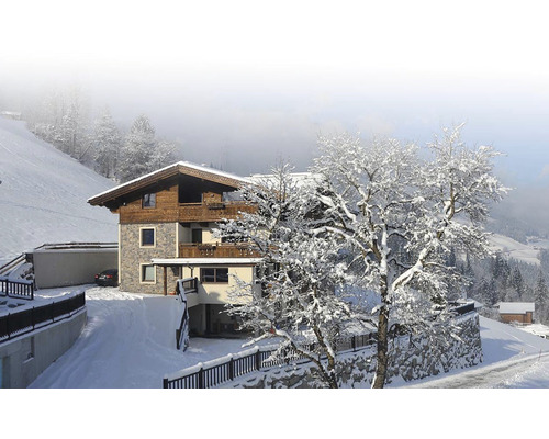 Zimní krajina s domem v chalupářském stylu pod sněhem