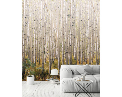 Obývací pokoj s fototapetou březového lesa a bílou pohovkou
