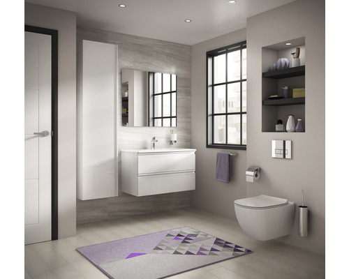 Moderní koupelna s umyvadlem, zrcadlovou skříňkou, toaletou a koupelnovým kobercem