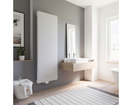 Moderní koupelna s radiátorem, umyvadlem, zrcadlem, bidetem a kobercem