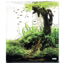 Nano akvárium 30 l-thumb-1 Nano akvárium 30 l-thumb-1