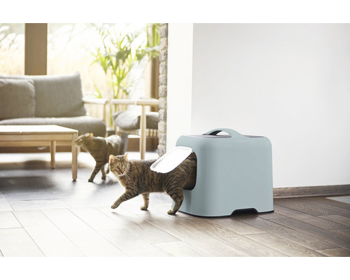 Kočka opouští kočičí záchod v světlém obývacím pokoji