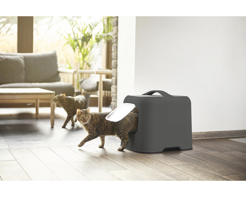 Kočka vstupuje do toalety pro kočky v obývacím pokoji