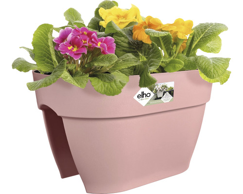 Květináč s barevnými květinami