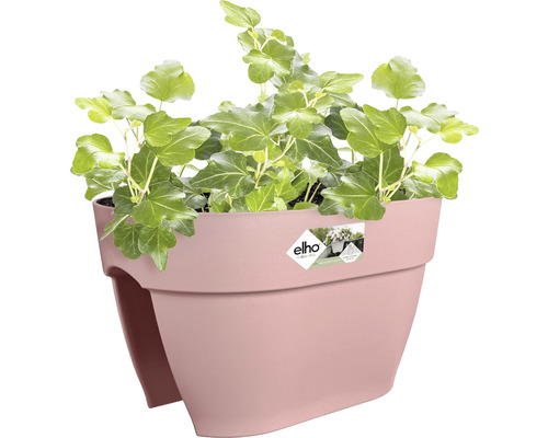 Květináč s břečťanem na balkon