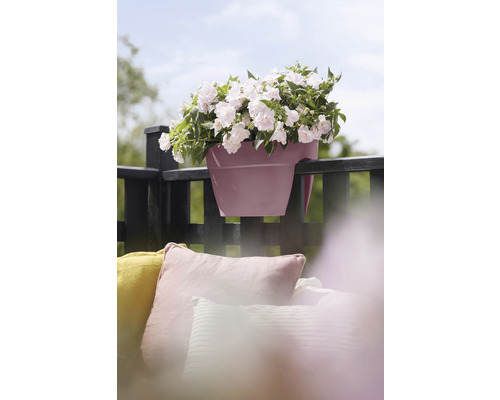 Balkonový truhlík s bíle kvetoucími rostlinami na zábradlí balkonu
