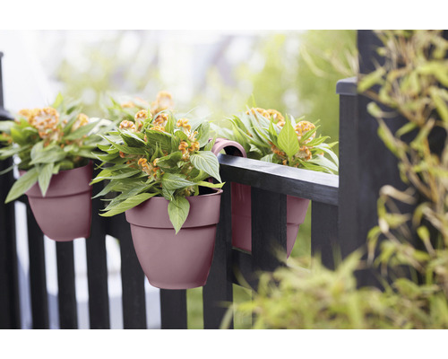 Balkon s truhlíky na zábradlí