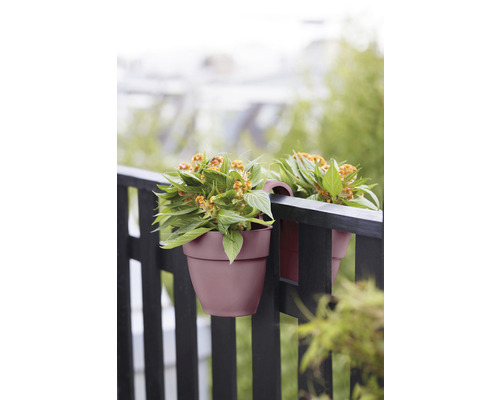 Dva květinové hrnce visí na zábradlí balkónu s rostlinami uvnitř.