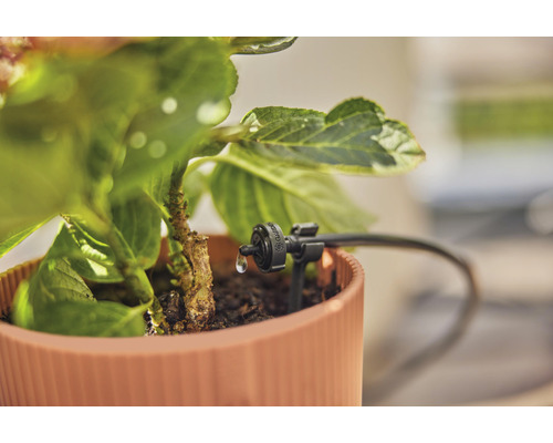 Kapková závlaha v květináči pro zavlažování zahrady