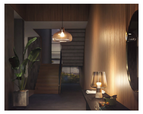 Interiérová fotografie chodby se stolní lampou, závěsnou lampou a pokojovou rostlinou