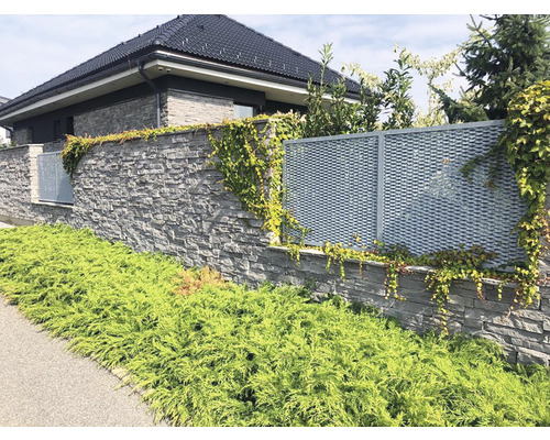 Venkovní pohled na dům s kamennou zdí a kovovým plotem