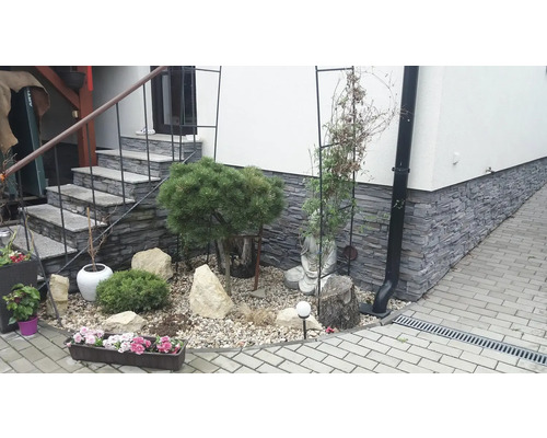 Upravený vstupní prostor s kamenným schodištěm, rostlinami a dekorativními prvky.