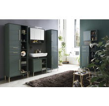 Koupelna s vysokými skříněmi, skříňkou pod umyvadlo, zrcadlovou skříňkou a kobercem pro moderní vybavení